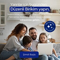 Düzenli Birikim