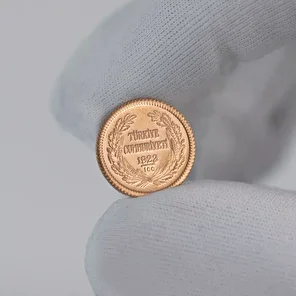 Ata Lira Çeyrek Altın 101. Yıl Yeni Tarihli - 2