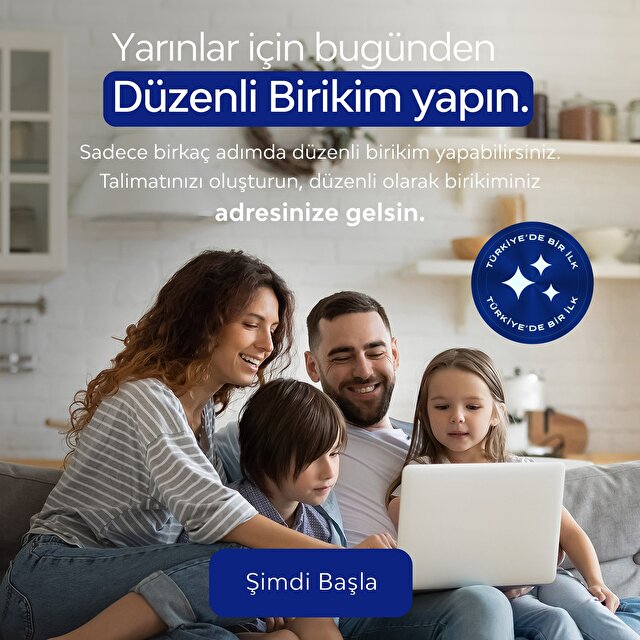 Düzenli Birikim